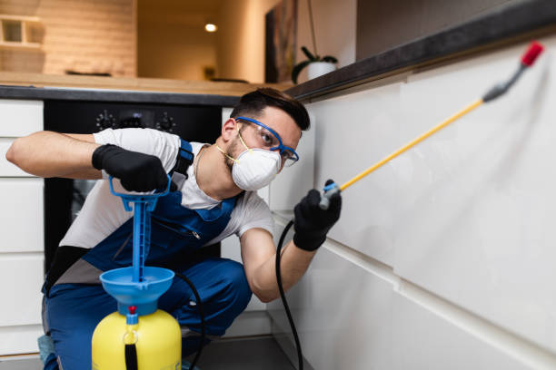 Best Wasp Removal Services  in Wheeler Af, HI