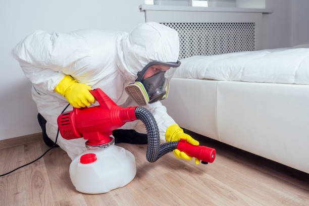 Best Pest Removal Services  in Wheeler Af, HI