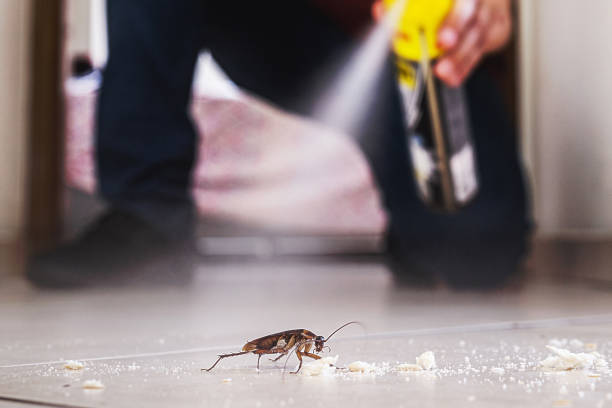 Trusted Wheeler Af, HI Pest Control Experts